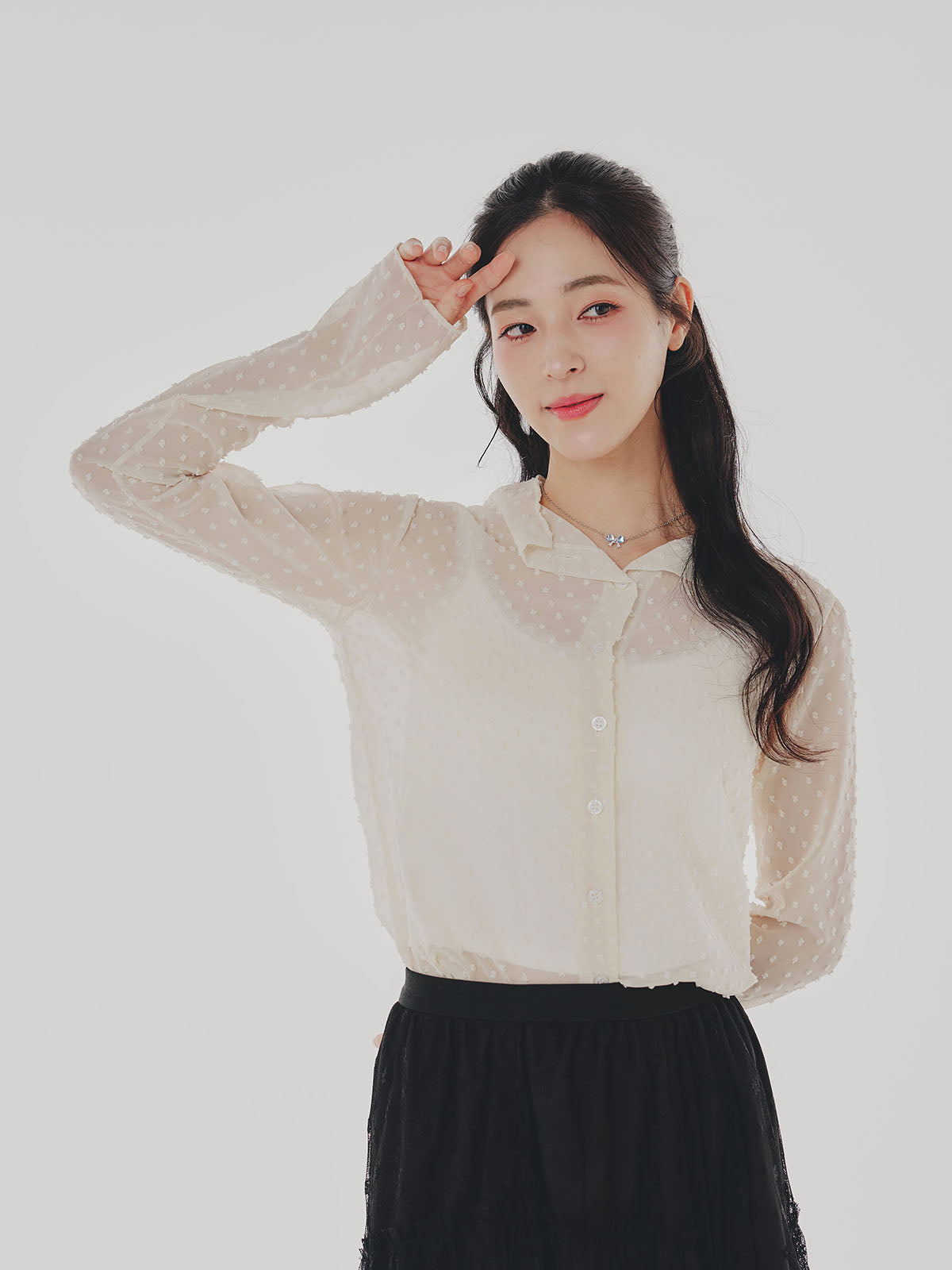 Sheer Cropped Blouss