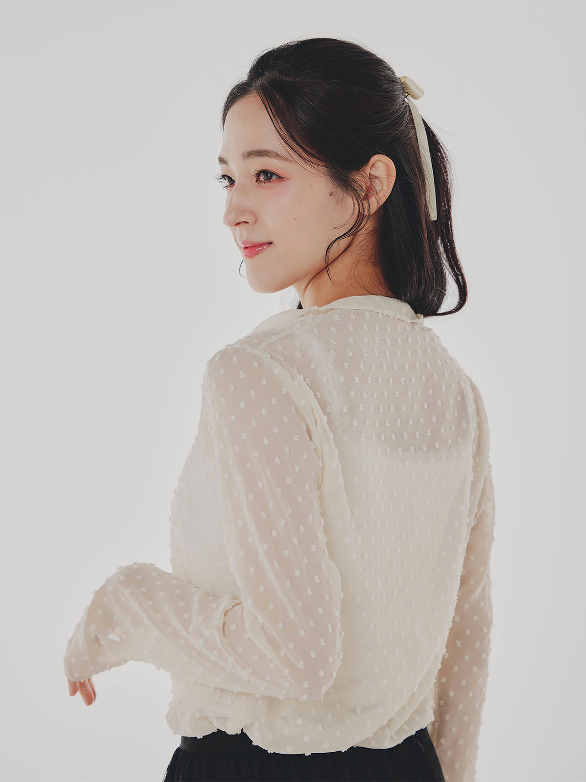 Sheer Cropped Blouss
