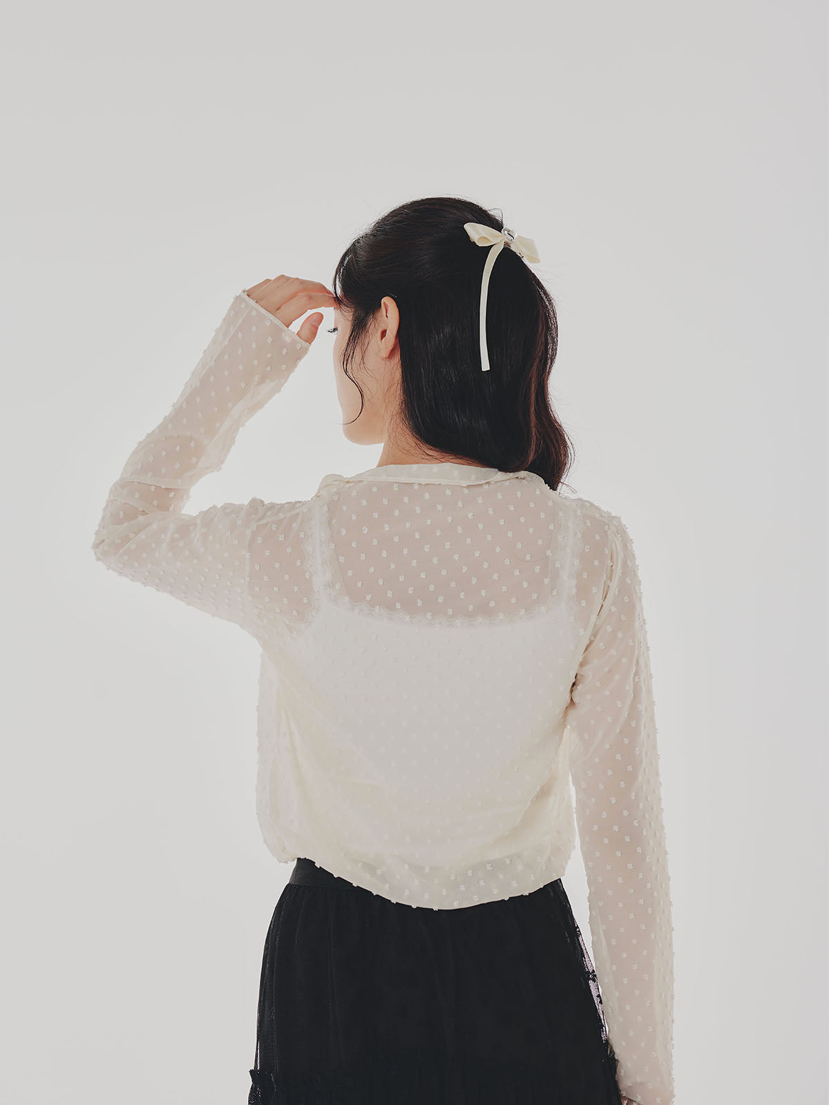 Sheer Cropped Blouss